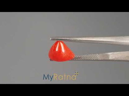 Red Coral (Moonga) - 4.77 Carats