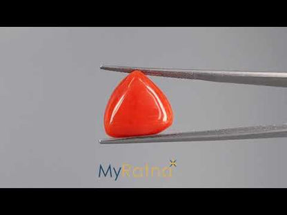 Red Coral (Moonga) - 16.59 Carats