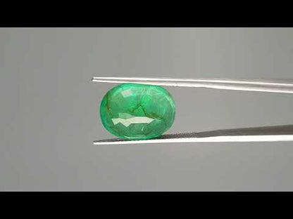Emerald (Panna) - 7.58 Carats