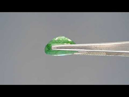 Emerald (Panna) - 6.40 Carats