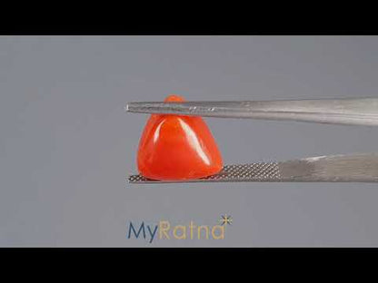 Red Coral (Moonga) - 6.95 Carats