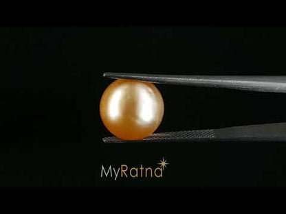 South Sea Pearl - 11.58 Carats (Moti - 12.62 Ratti)