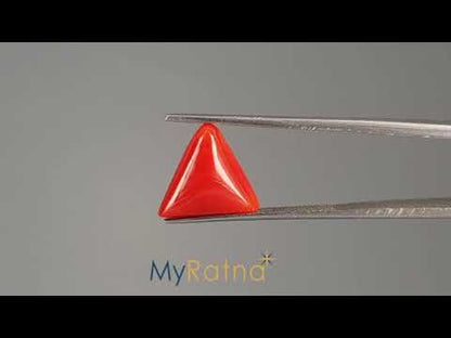 Red Coral (Moonga) - 4.64 Carats