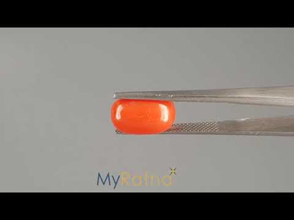 Red Coral (Moonga) - 5.65 Carats