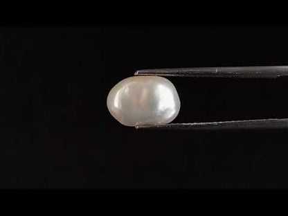Venezuela Pearl - 2.72 Carats (Moti - 2.96 Ratti)