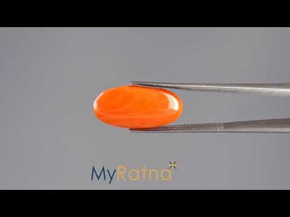 Red Coral - 4.89 Carats (Moonga - 5.33 Ratti)