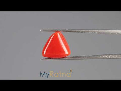 Red Coral (Moonga) - 6.17 Carats