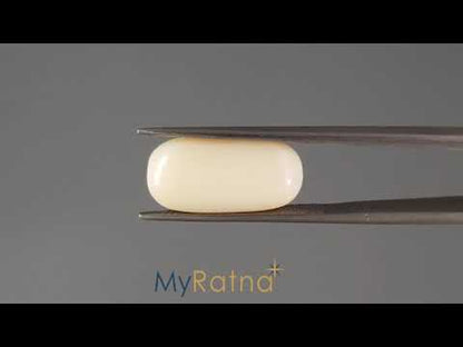 White Coral - 9.12 Carats