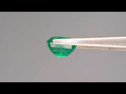 Emerald (Panna) - 5.81 Carats