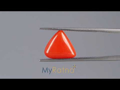 Red Coral (Moonga) - 4.04 Carats