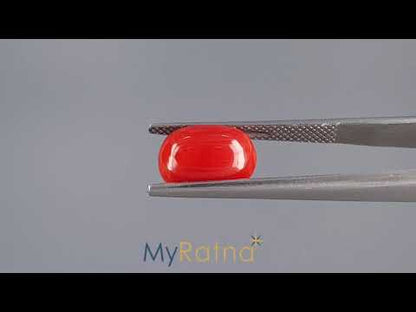 Red Coral - 4.15 Carats (Moonga - 4.52 Ratti)