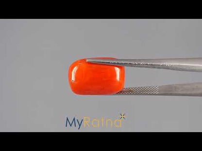 Red Coral (Moonga) - 15.21 Carats