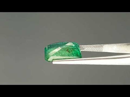 Emerald (Panna) - 7.08 Carats