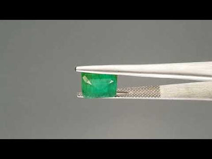 Emerald (Panna) - 3.14 Carats
