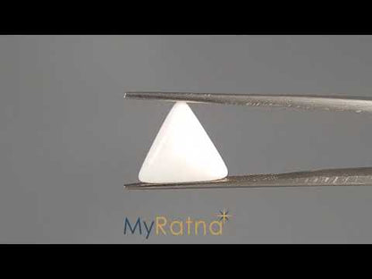 White Coral - 3.48 Carats