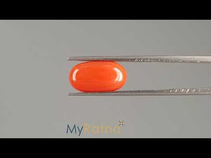Red Coral (Moonga) - 5.70 Carats