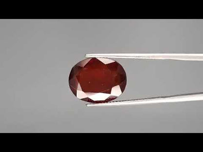 Hessonite - 10.55 Carats (Gomed - 11.50 Ratti)