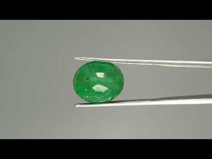 Emerald (Panna) - 8.67 Carats