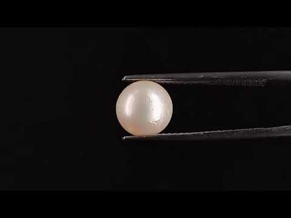 South Sea Pearl - 3.77 Carats (Moti - 4.11 Ratti)