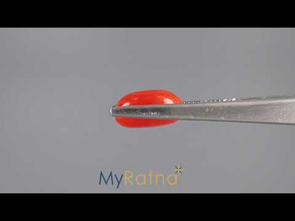 Red Coral (Moonga) - 4.26 Carats