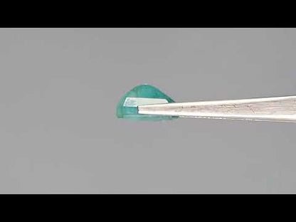 Emerald (Panna) - 5.81 Carats