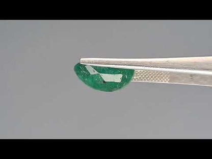 Emerald (Panna) - 7.41 Carats