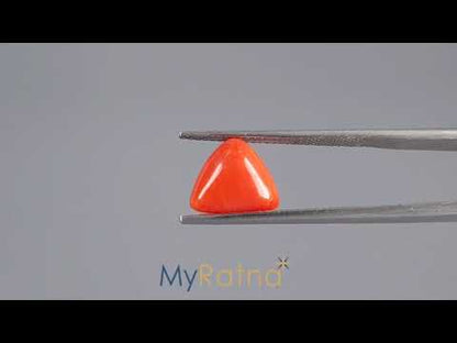 Red Coral (Moonga) - 3.31 Carats