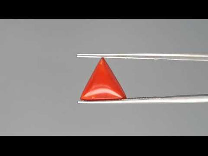 Red Coral (Moonga) - 3.78 Carats