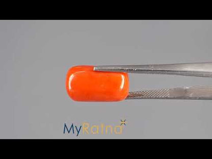 Red Coral - 16.25 Carats (Moonga - 17.71 Ratti)