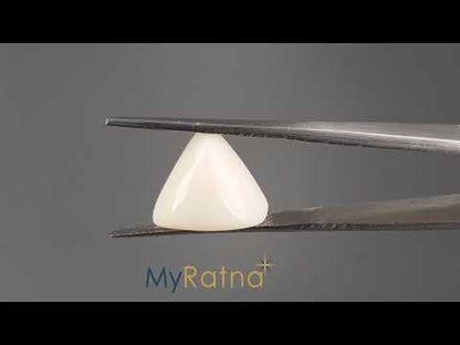 White Coral - 9.88 Carats