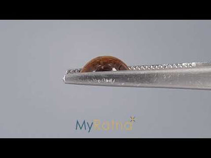 Tiger Eye - 2.01 Carats