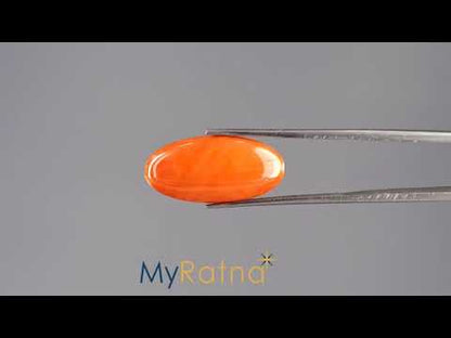 Red Coral - 7.13 Carats (Moonga - 7.77 Ratti)