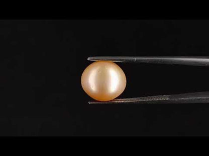 South Sea Pearl - 8.60 Carats (Moti - 9.37 Ratti)
