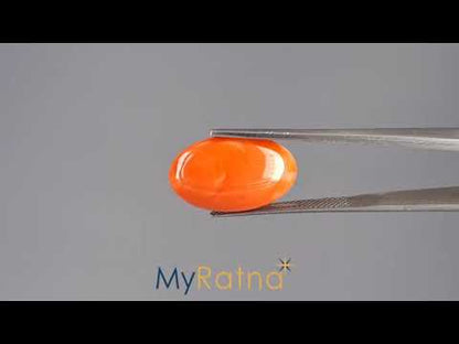 Red Coral - 8.22 Carats (Moonga - 8.96 Ratti)