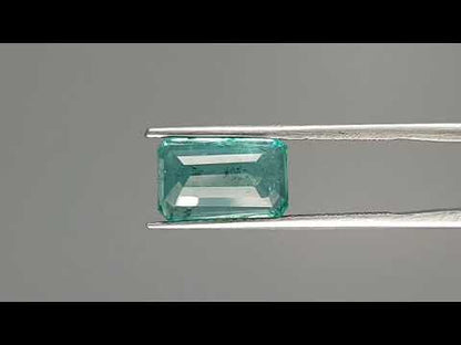 Emerald (Panna) - 3.50 Carats