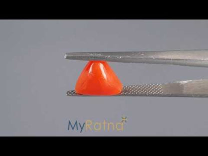 Red Coral (Moonga) - 3.27 Carats