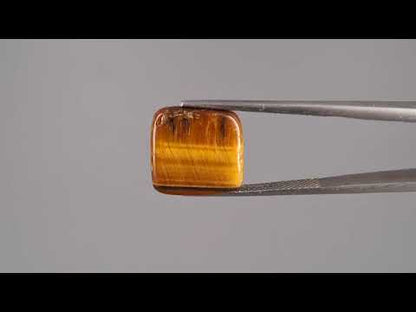 Tiger Eye - 10.98 Carats