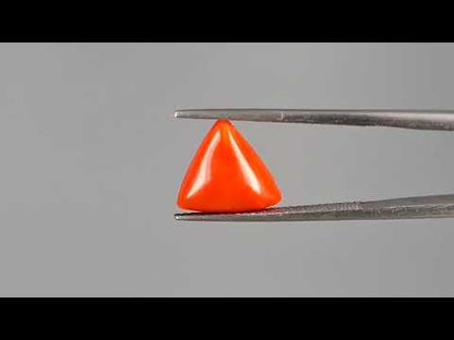 Red Coral (Moonga) - 3.47 Carats