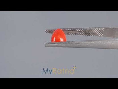 Red Coral - 1.27 Carats (Moonga - 1.38 Ratti)
