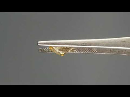 Yellow Sapphire (Pukhraj) - 2.69 Carats
