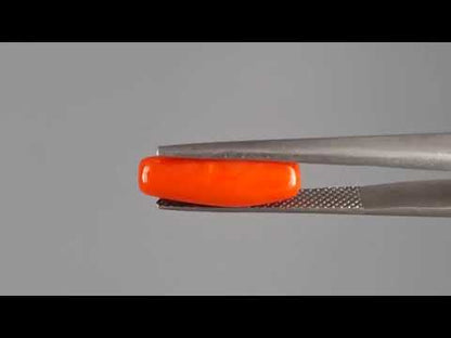 Red Coral - 3.88 Carats (Moonga - 4.23 Ratti)