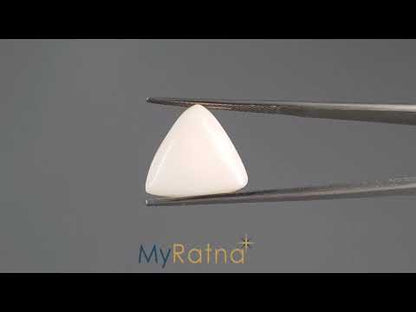 White Coral - 8.18 Carats