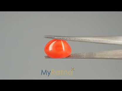 Red Coral - 9.47 Carats (Moonga - 10.32 Ratti)