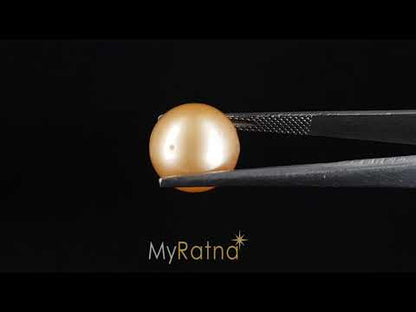 South Sea Pearl - 11.54 Carats (Moti - 12.58 Ratti)