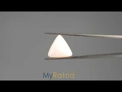 White Coral - 9.09 Carats