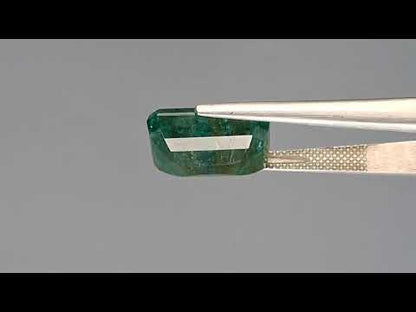 Emerald (Panna) - 9.55 Carats