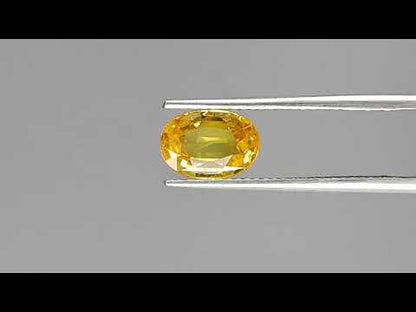 Yellow Sapphire - 2.54 Carats (Pukhraj - 2.77 Ratti)