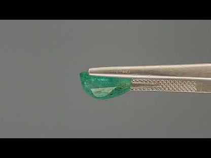 Emerald (Panna) - 3.17 Carats