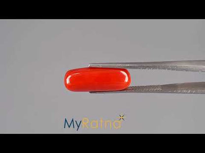 Red Coral (Moonga) - 7.77 Carats