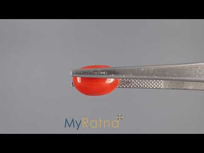 Red Coral (Moonga) - 4.08 Carats